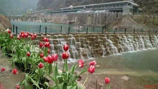 重庆市政协共画团结奋斗最大同心圆