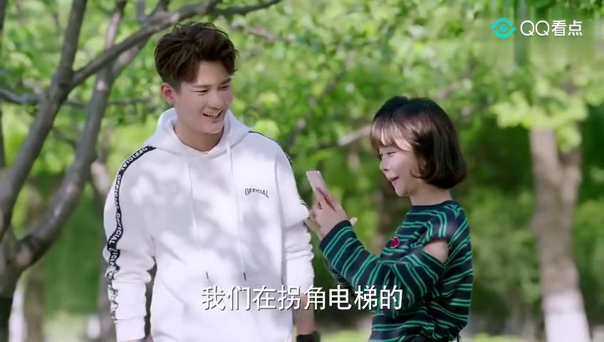 全战：幕府将军2